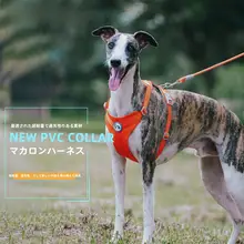 夏用 通気性抜群の布製ドッグリード【無縁取り・小型犬用】
