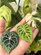 トロピカルプラント刺繍ブローチ【モンステラ・個性派花瓶装飾用】