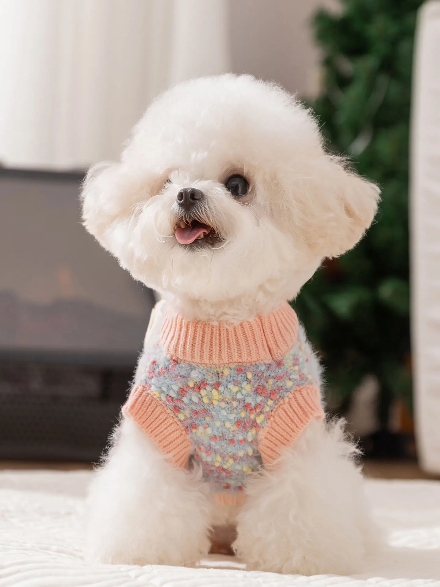 ペット用暖かいニットウェア：秋冬期の小型犬猫向けユニバーサルセーターの実用性と機能解析