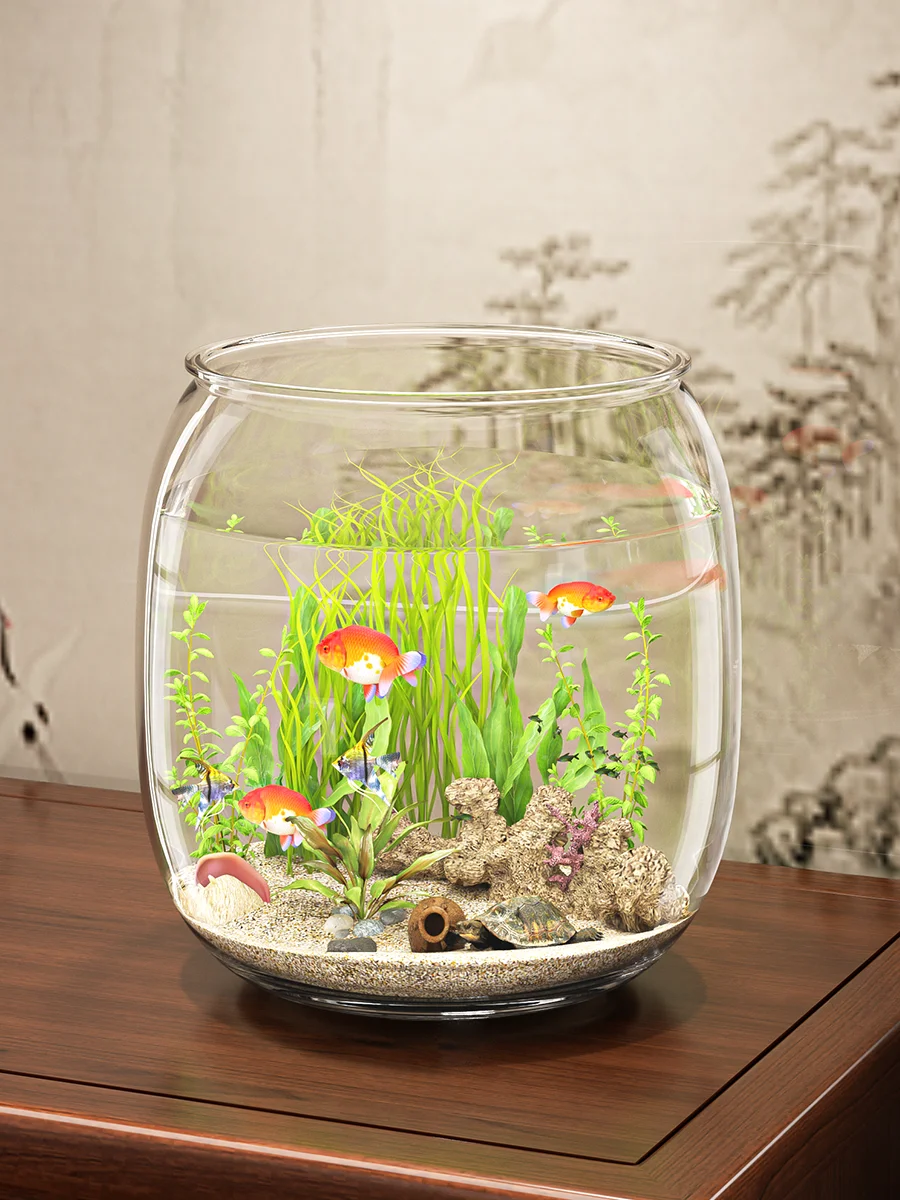 120cm アクリル水槽 中古 と 60センチ水槽 の違いは？本当に必要なサイズはどれ？