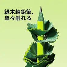 鉛筆 キッズ 男の子 女の子 緑 木軸 HB 2B 折れにくい芯 初心者向け 小学生 低学年 幼稚園 練習用