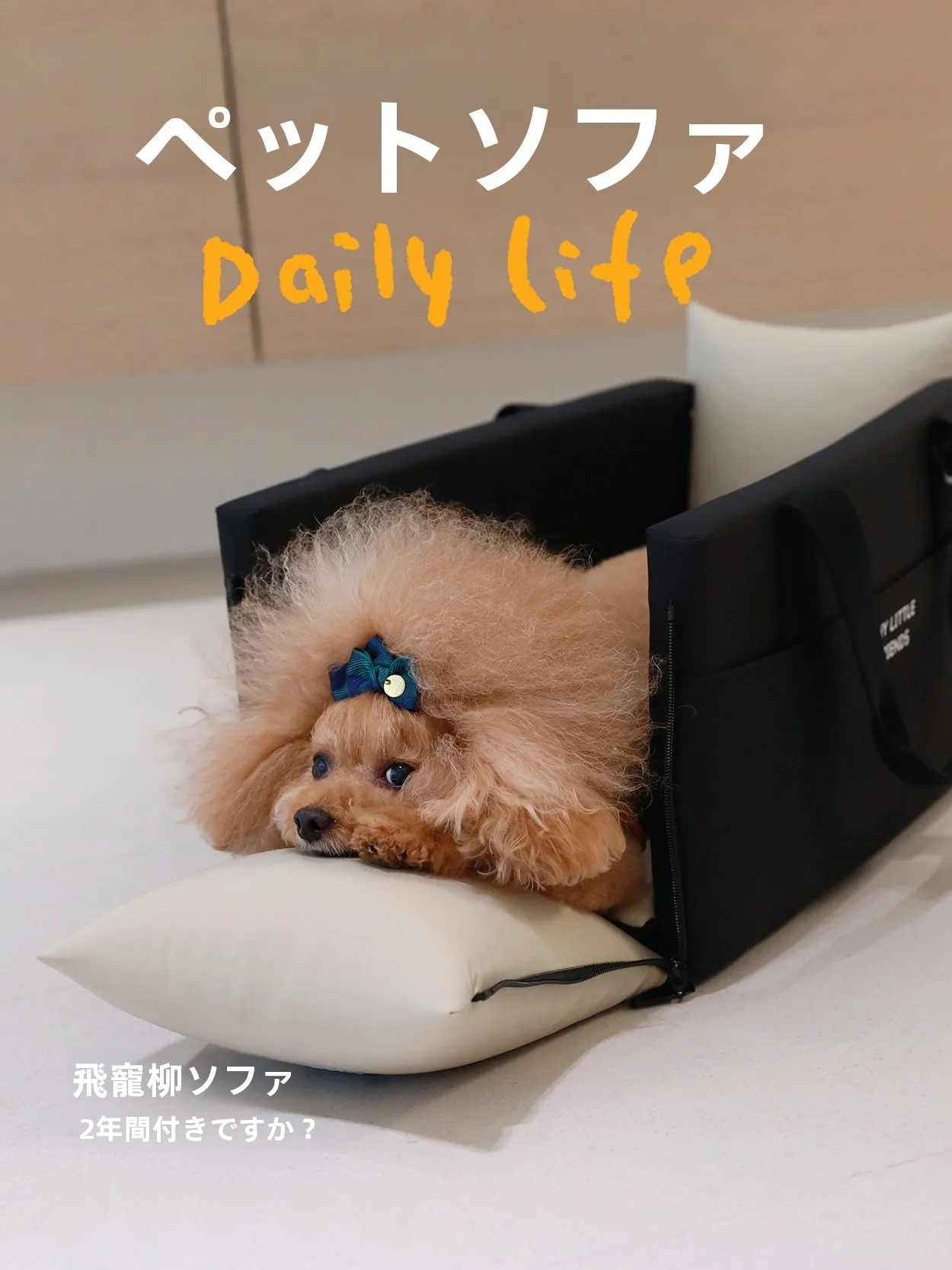 ペット用車載ソファーシート：防水・持ち運び便利な犬用ベッドの実用性と選定基準