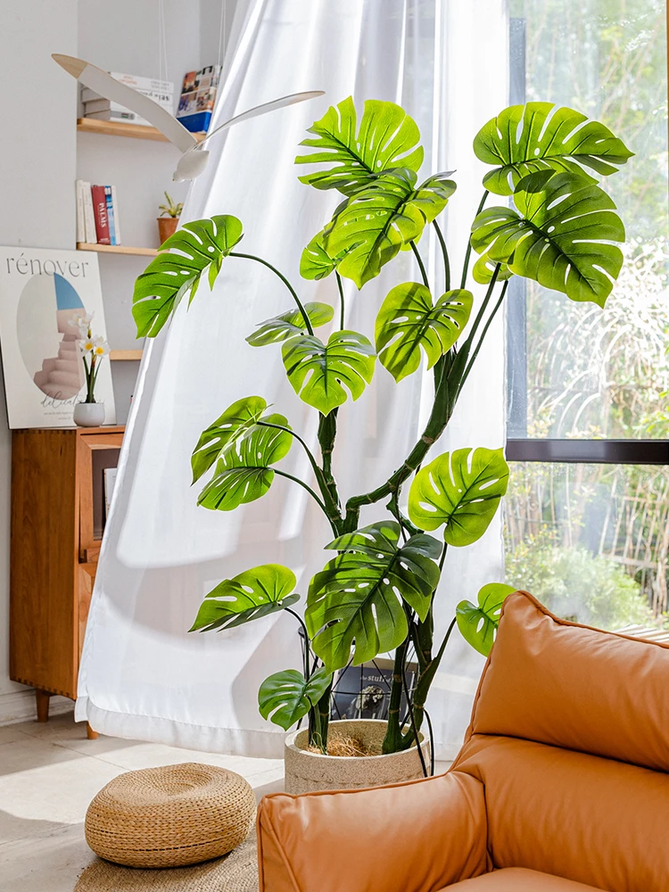 揃えるミニマリスト部屋づくりアイテム | 大型モンステラ植木鉢のサイズと土壌特性