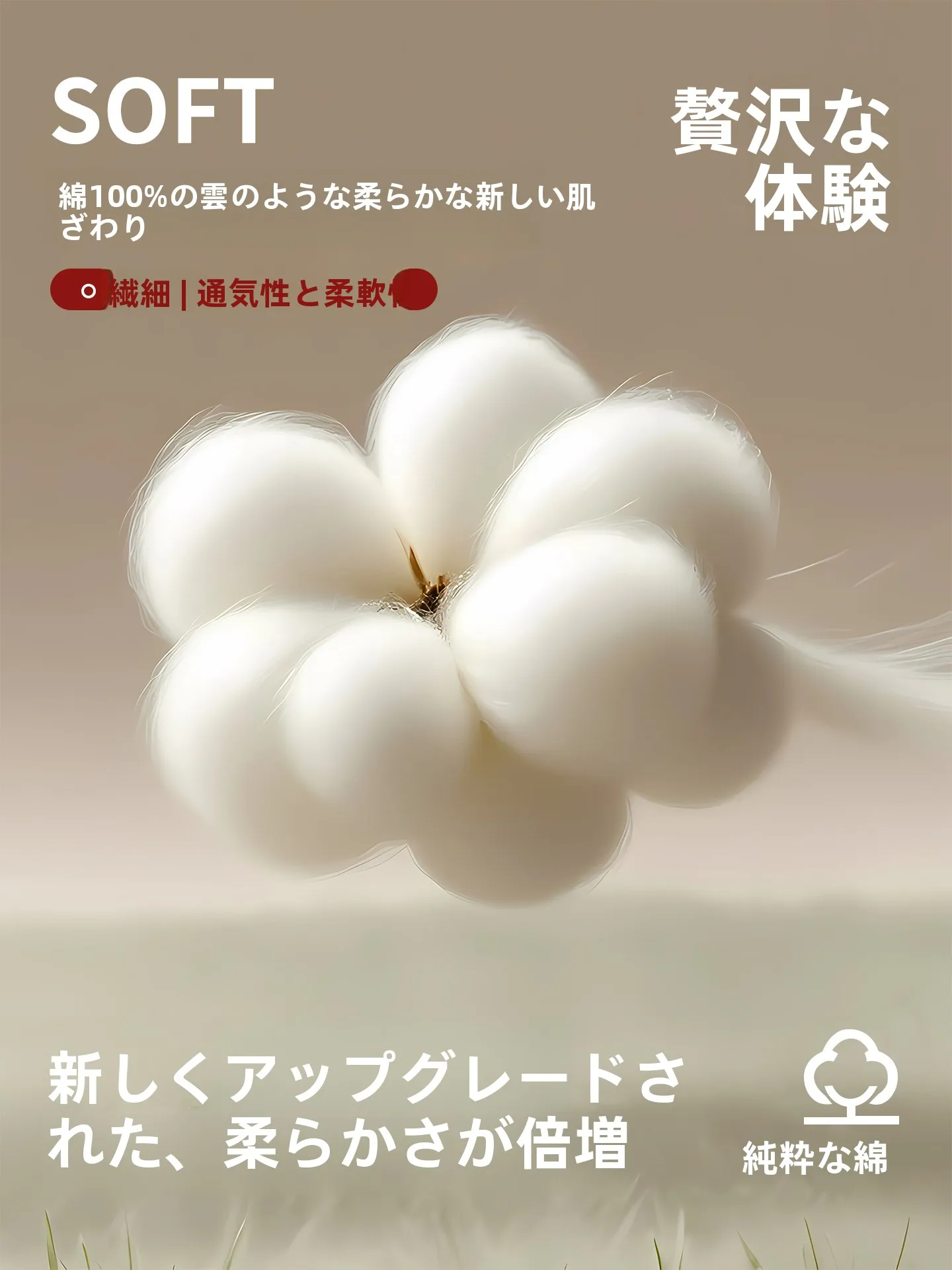 高品質コットン枕カバーおすすめ：滑り止め付き・毛圈素材で肌に優しい大人用セット