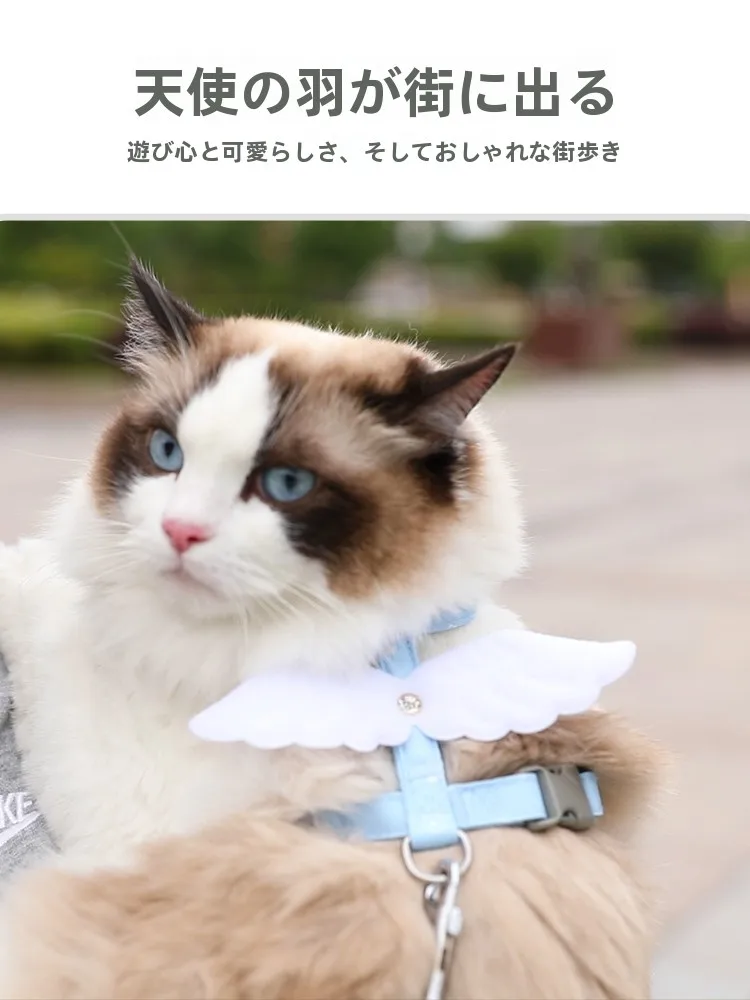 猫飼いが買ってよかったもの・悪かったもの正直に言う：猫用ハーネスの安全設計と脱出防止