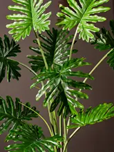 リアルな観葉植物の鉢植え ゲンペイチク 装飾品 屋内植物 景観