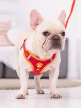 調節可能なハーネス付きリード【中小型犬用・フレンチブルドッグ・パグ・テディベア散歩用】