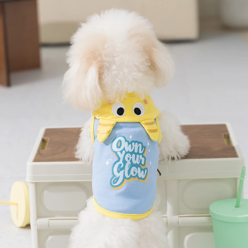 ハロウィン 犬服：hipidog 春夏用小型犬服の実用性とサイズ選定ガイド