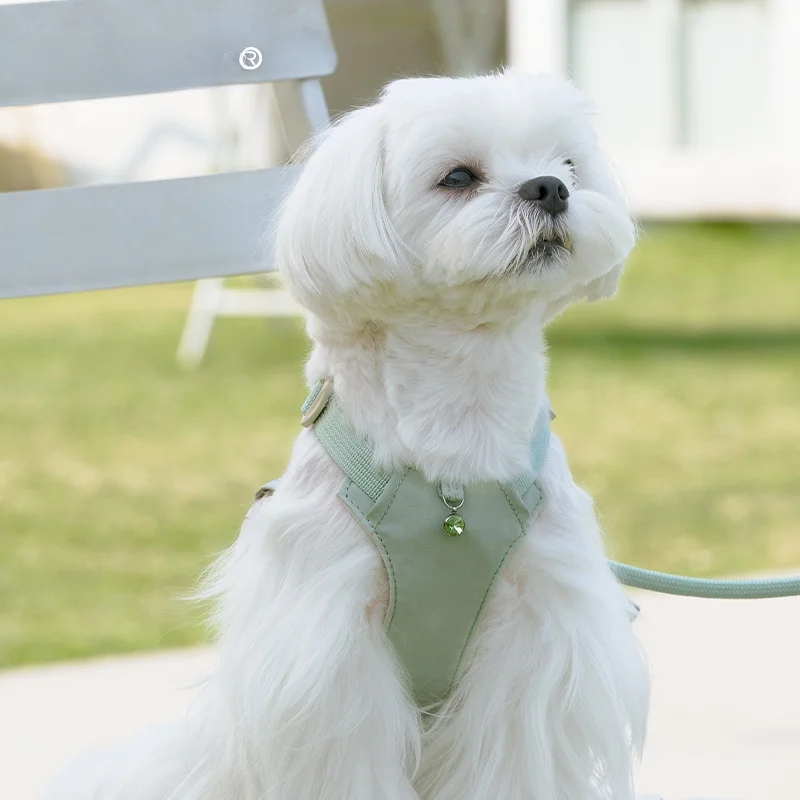 犬のお散歩グッズをコスパ良く揃える方法｜ナデシコパウダー付きリードの選び方徹底解説