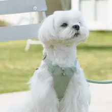 小型犬用ハーネス付き犬用リード【テディ・マルチーズ・ビション対応】