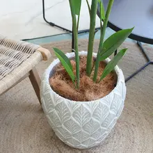 リアルな植物風デコレーションプランター【ブラウンココナッツマット・グリーンエコディスプレイ】