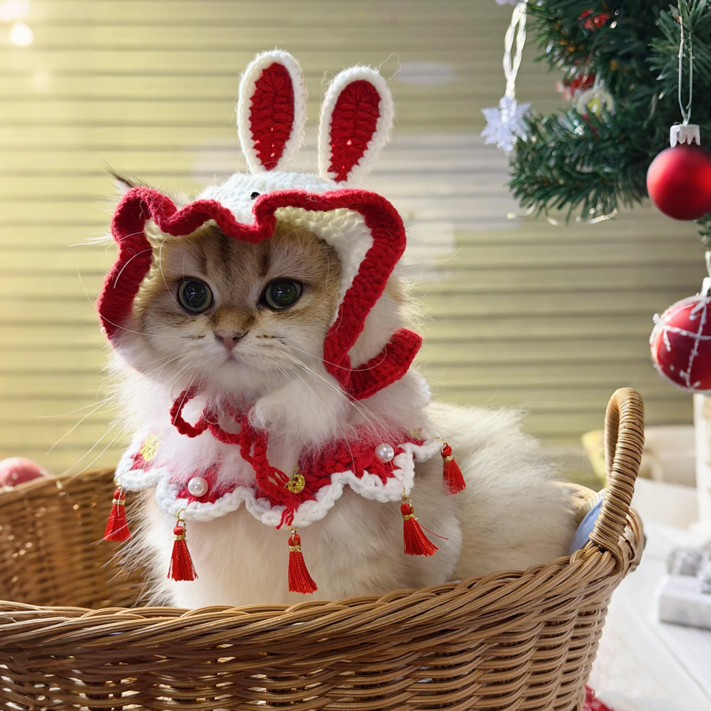 猫用福字首輪と口拭きタオルセット：新年プレゼントとしての実用性と季節性