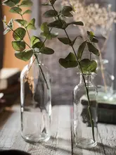透明ガラスの花器【小口・水耕栽培用・インテリア装飾】