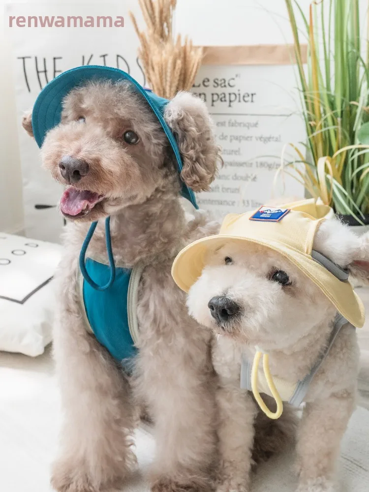 犬のお散歩グッズをコス パ良く揃える方法｜耳出し帽子と涼感ベストの実測ガイド
