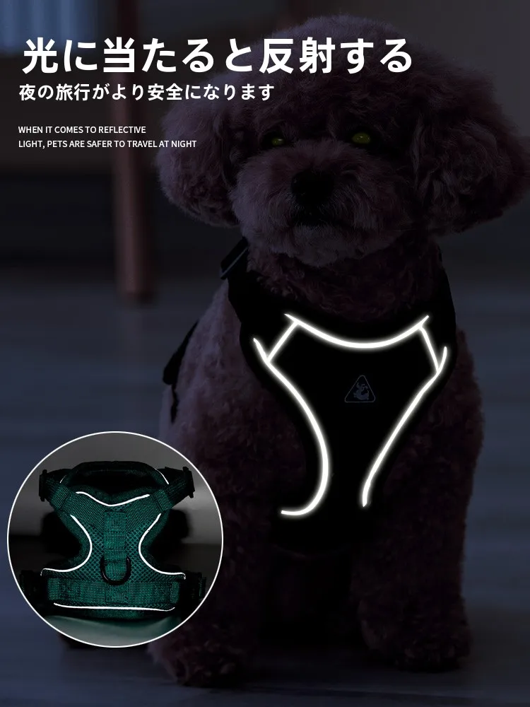 犬のお散歩グッズをコスパ良く揃える方法｜胸型ハーネスの実測ガイド
