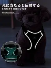 調節可能な犬用ハーネス付きリード【中小型犬用・胸型ハーネス・トイプードル対応】