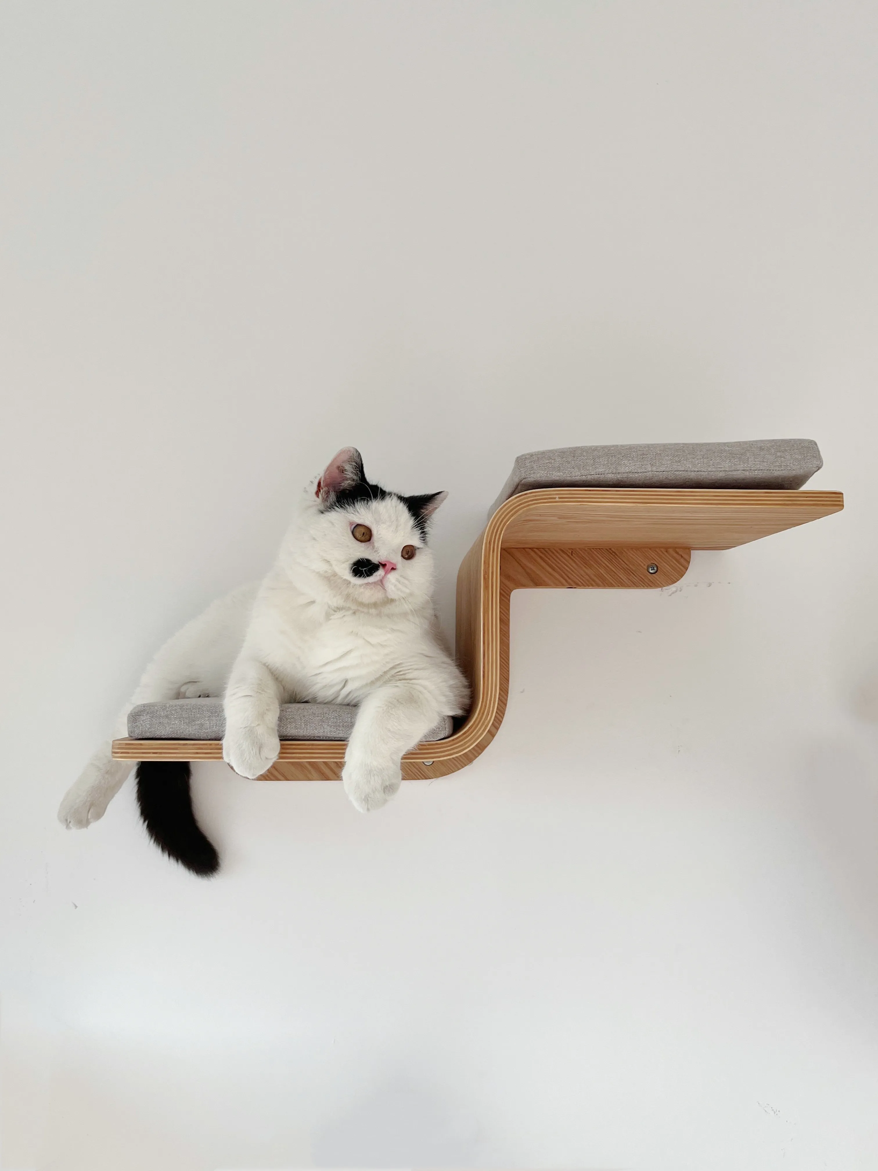 キャットタワー 省スペース おすすめは？4選で小さな部屋でも猫の遊び場を実現する実践ノウハウ