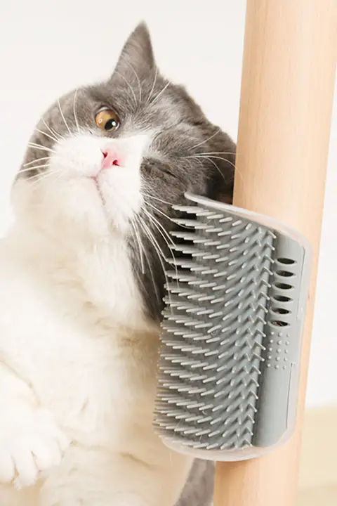 猫用マッサージブラシ【大きめ・キャットグルーマー・爪研ぎボード】