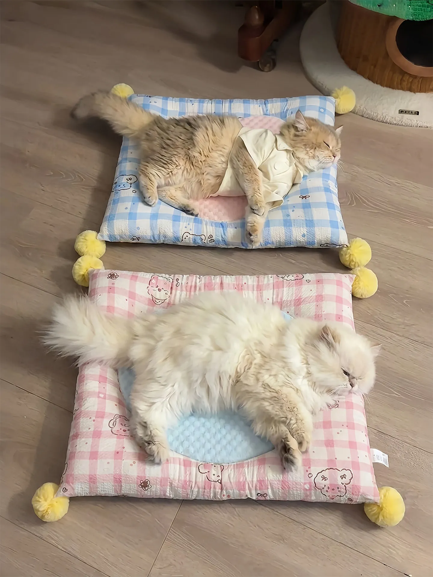 冷感ペットベッドは本当に必要？夏の快適な睡眠環境を実現する秘訣とは？