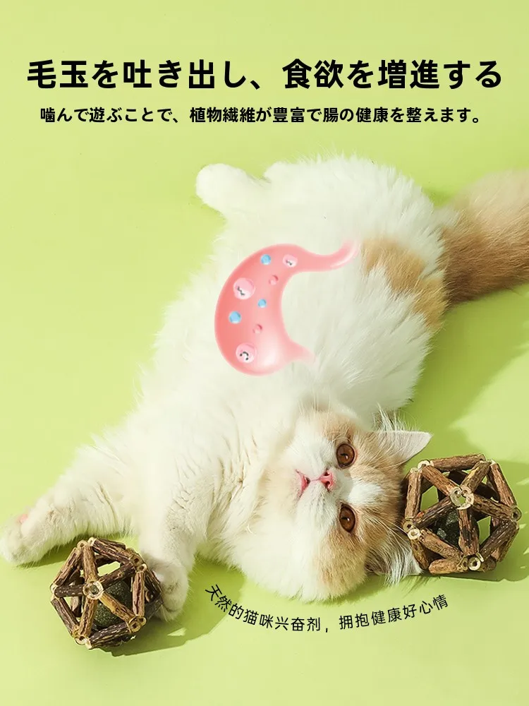 猫の遊び道具を手作りにするなら、木製のミントボールが一番？