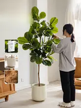 フィカス・リリシフォリア 人工室内グリーンポット 高級ラグジュアリー グリーンアクセサリー