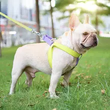 doglemi 犬用リード付きハーネス【小型・中型・大型犬対応】