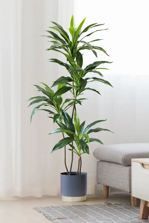 リアルな緑植の高級感ある偽木と小葉のヴェルヴェット室内用観葉植物【リビングや置物に最適】