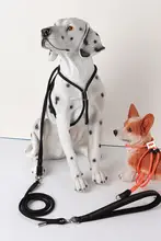 犬用 ハーネス 胸部装着式 リード付き【夏用・大型犬・小型犬対応】