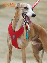 犬用 ハーネスリード【小中大型犬対応・首を締めない工字型】