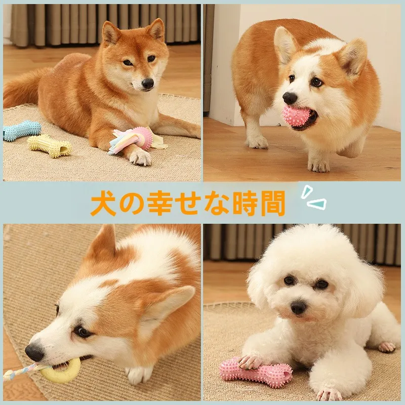 ケージ飼いの犬にぴったりな噛み耐性おもちゃは？