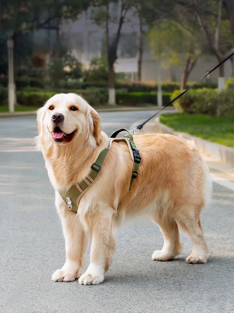 犬 リード ハーネス ブランド おすすめ4選：どんなものがあるの？価格帯やカラーバリエーションも徹底解説