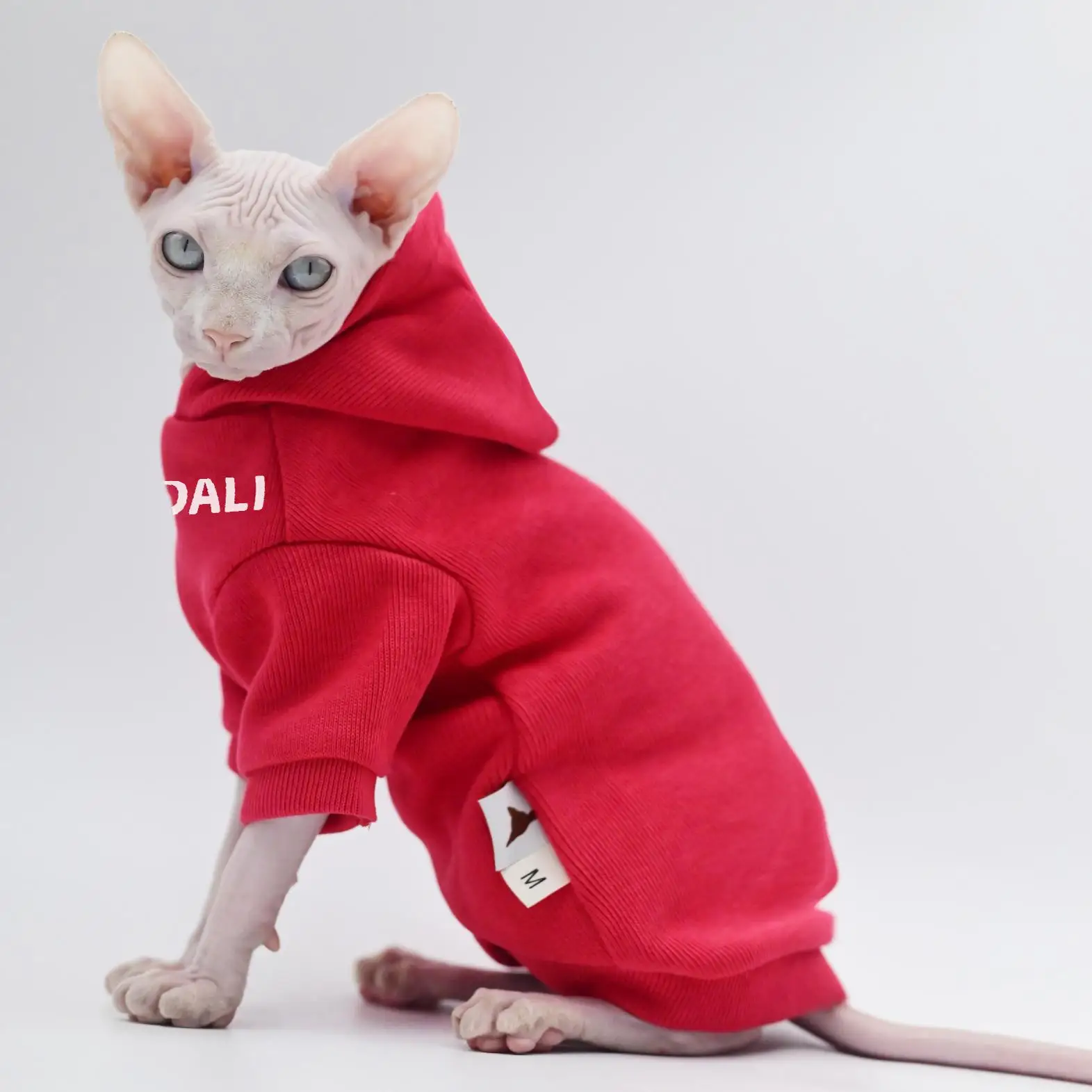 猫飼いが買ってよかったもの・悪かったもの正直に言う：スフィンクス猫用スポーツウェアの通気性と  サイズ適応