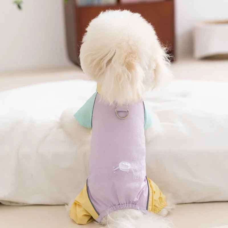 春夏用 薄手小型犬用ウェア：防晒・四脚・リード対応の実用性とシーン別評価