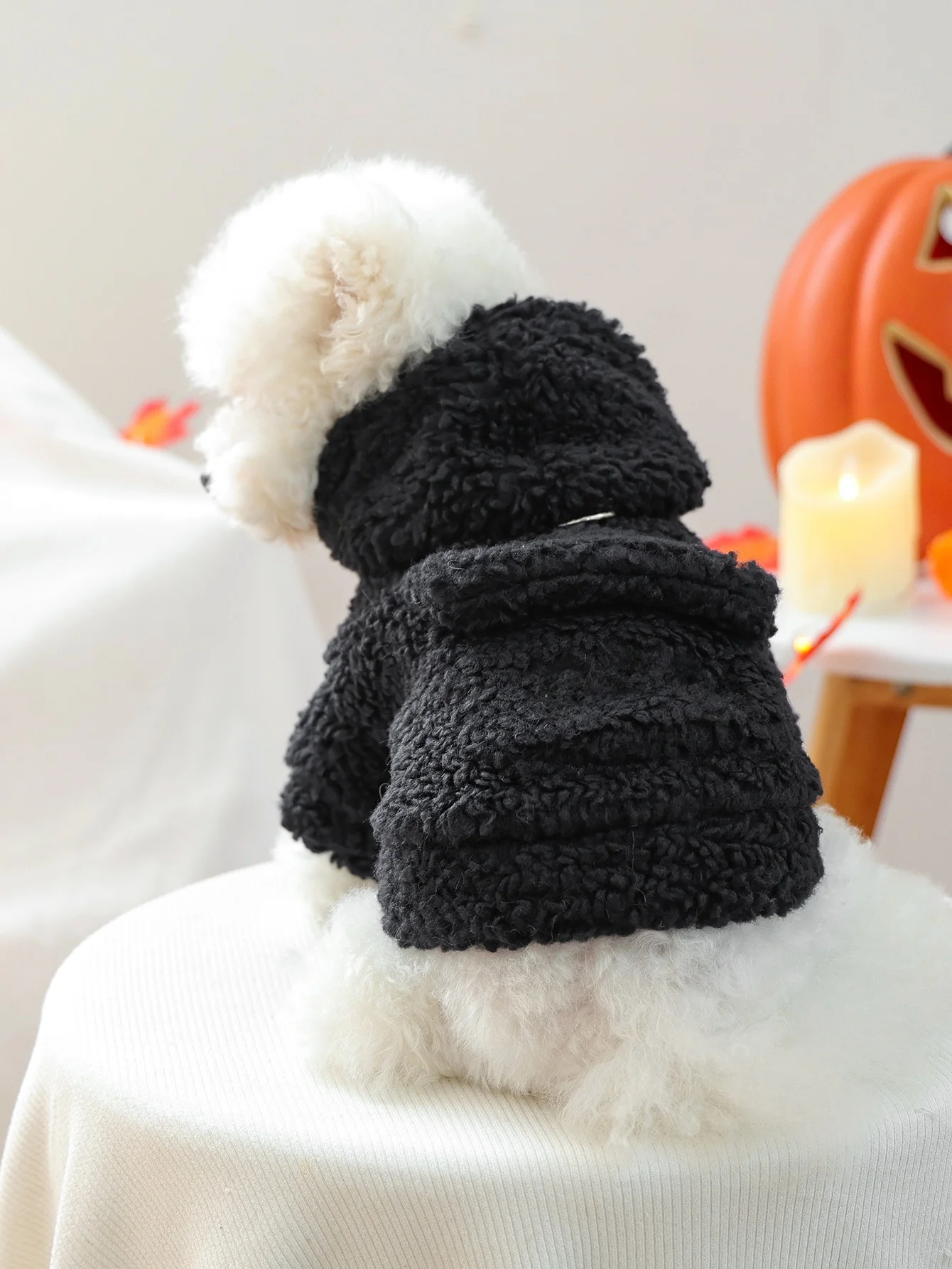 秋冬用保温羊羔絨フード付きパーカー：小型犬用ハロウィン服の実用性とサイズ選びのガイド
