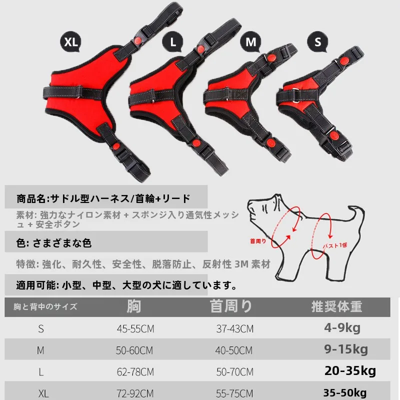 犬のお散歩グッズをコスパ良く揃える方法｜光るリードで安全と安心を実現