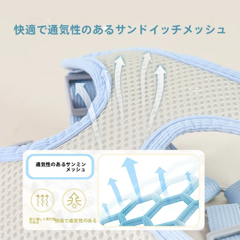 犬のお散歩グッズをコスパ良く揃える方法　完全ガイド