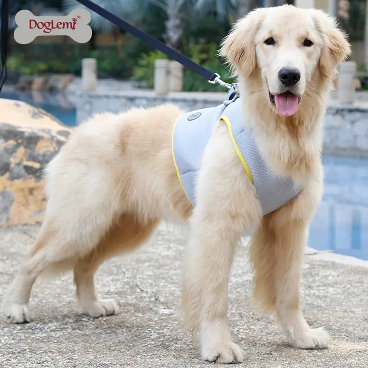 ペット用 通気性抜群の犬用ハーネス【夏用・大型犬対応】（セットアップ対応）