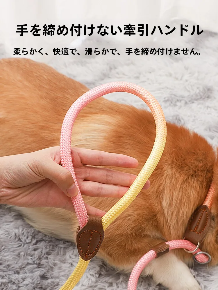 調整可能な反射材付き小型犬用リード：引っ張り防止機能と実用性の検証