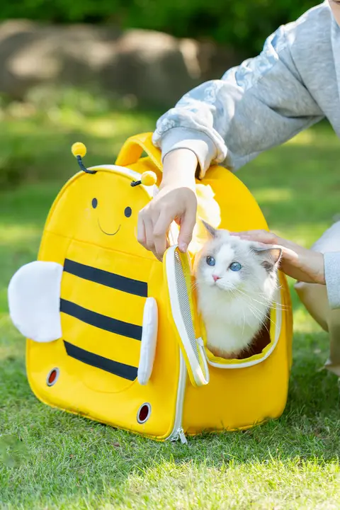 ペットキャリー 猫用 リュック 透明カプセル 通気メッシュ 外出用 持ち運び