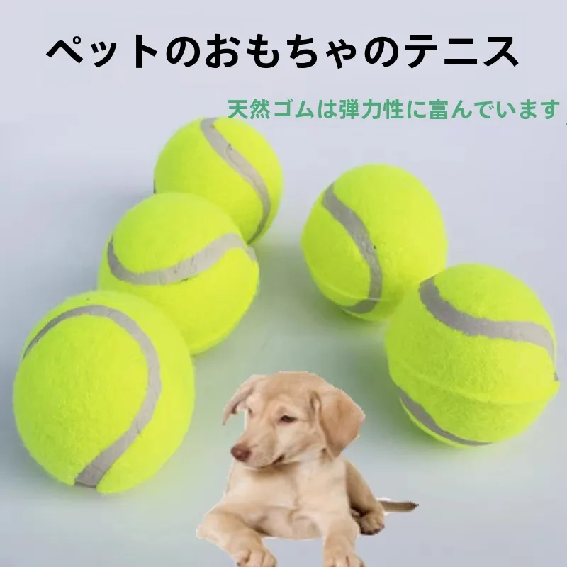 猫飼いが買ってよかったもの・悪かったもの正直に言う | ペット用耐噛みボールの定義と特性