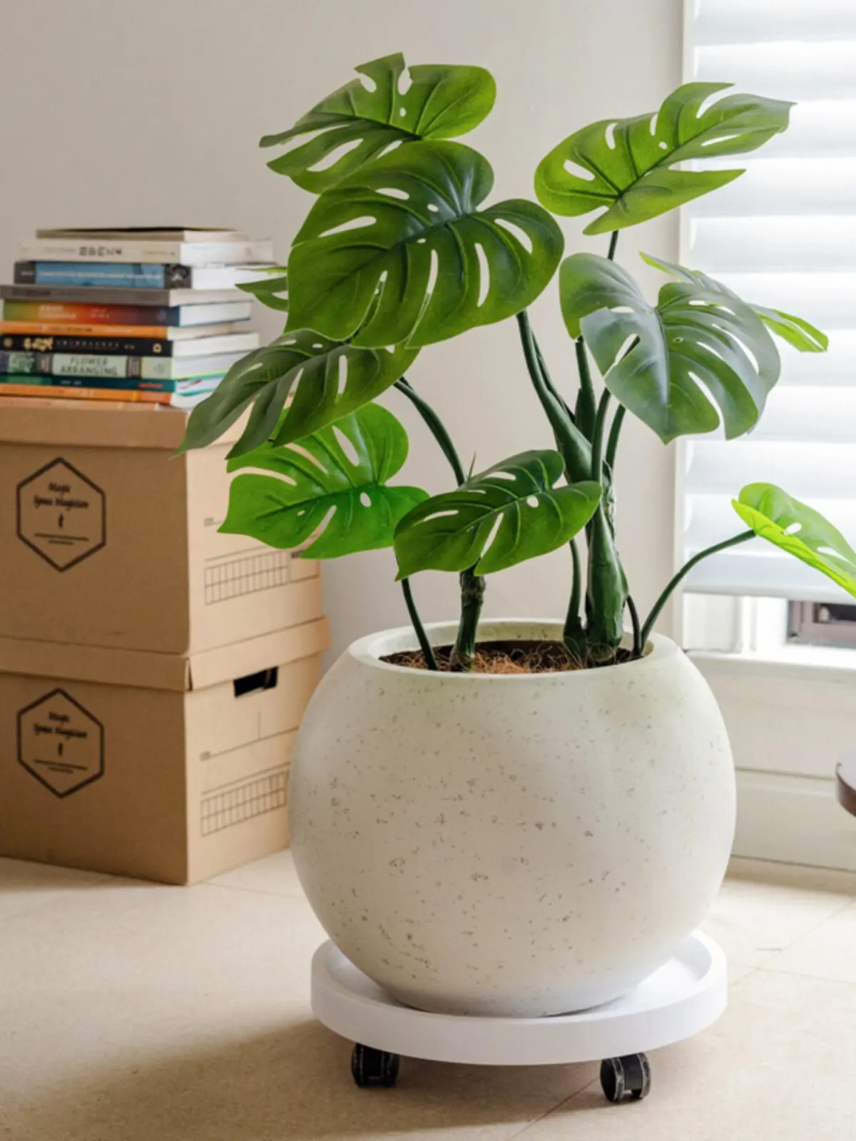 植木鉢6号を選ぶときに迷うなら、この1つのデザインが答えになる？