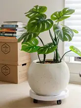 北欧風 大口径マグネシウム製植木鉢【シンプルな球形・通気性・インテリア装飾用】