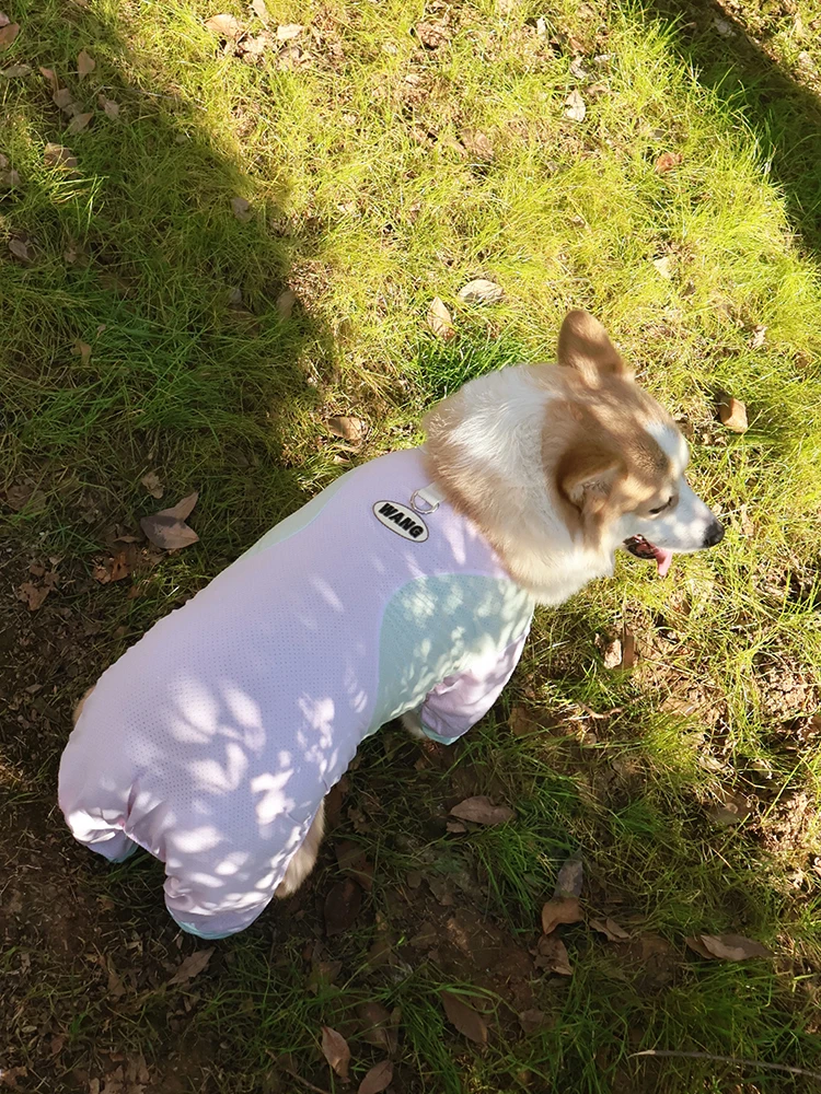 柴犬用春夏通気性ペット服：防汚・紫外線対策で快適な散歩を実現
