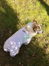 柴犬用 春夏用通気性抜群のペット服【防汚・紫外線対策・抜け毛防止・四足用】