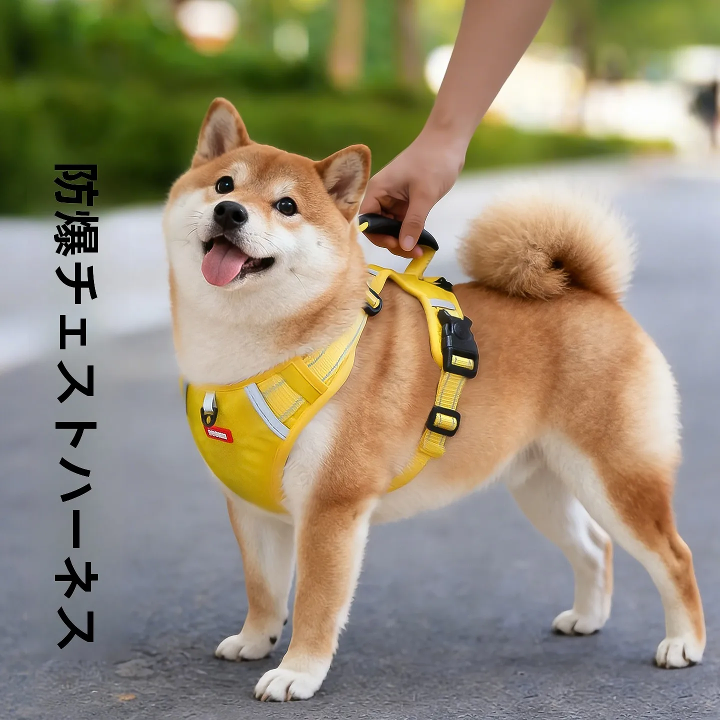 地震時に犬が安全に外に出られるようにする、本当の「防災リード」は？