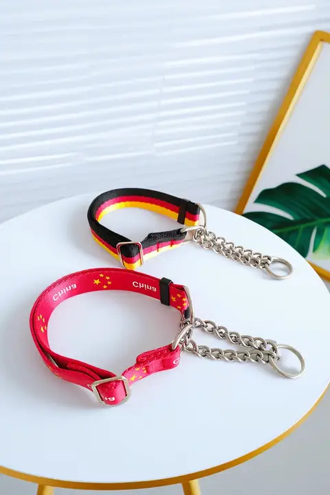 中型大型犬用 犬用首輪とリード【毛を挟まないデザイン】