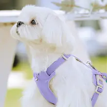 犬用ハーネス型リード【中小型犬用・快適な装着感】