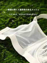 セクシーなレースブラジャー【通気性あり・快適・バストアップ効果・記憶チタンワイヤー使用】