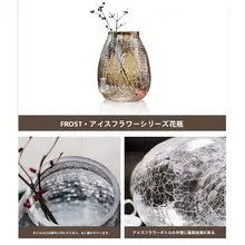 透明ガラスの花瓶【インテリア用・水栽培・モダンデザイン】