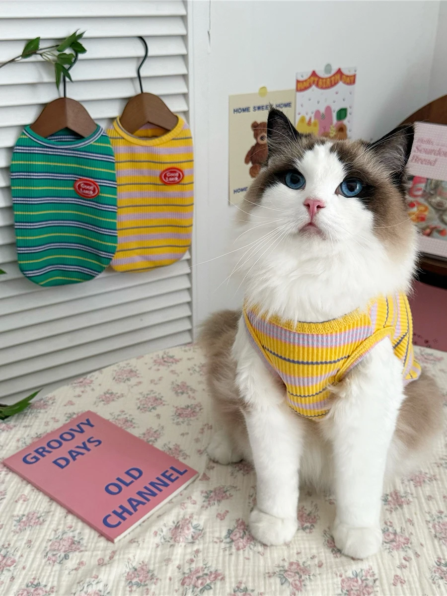 春夏用ペット用衣類：短毛猫飼いやすい日常スタイルの実用性解析